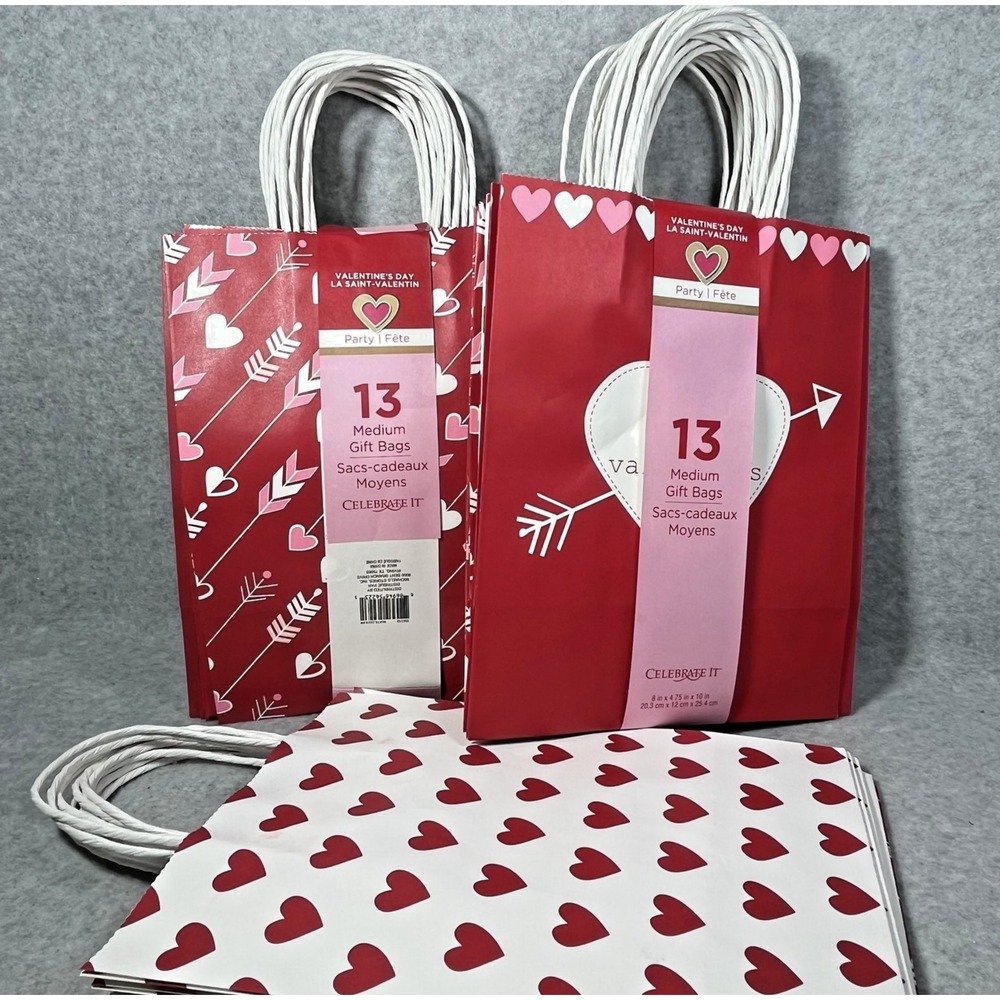 Celebrate It Valentine's Day Medium Gift‎ Bags 2+ Pack Hearts Arrows Party Favor